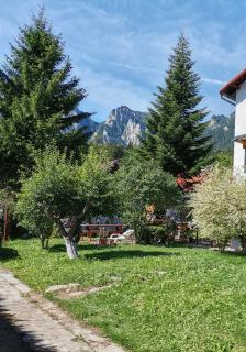 Zoso home - Buşteni - 6