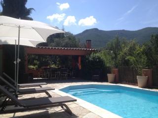 Gite dans le maquis avec piscine privée - Peri - 2