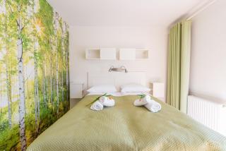 Horyzont Apartamenty -Apartament Willa Karl- Blisko Centrum - 5