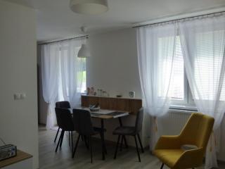 Apartmán Dolinky - Vyhne - 6
