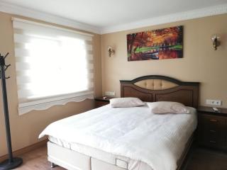 Little Palace Blue Apartment - Istanbul - 2