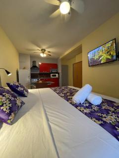 Relax Inn Papeete - Le studio confort proche de tout - Papeete - 3