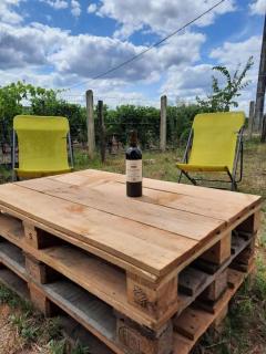 Maison familiale climatisée, piscine St Emilion - 7