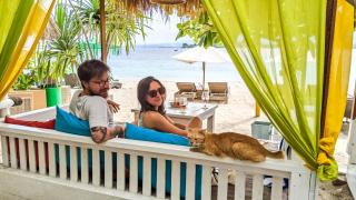 Zipp Bar Restaurant & Bungalows - Gili Air - 7