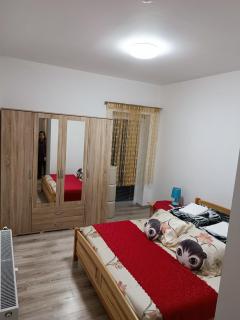 Viet Sen Pension - Železná Ruda - 0