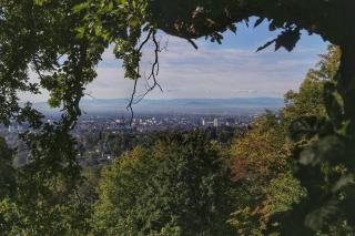 Wohnen im Grünen - Graz - 4