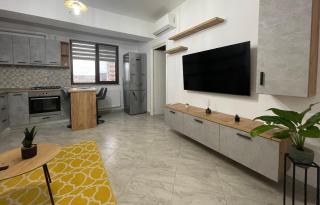 Lazar Nest Apartment - Palas Center - Iaşi - 3