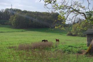 Gite les Glycines - Diges - 1