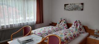 Pension Wildental - 9