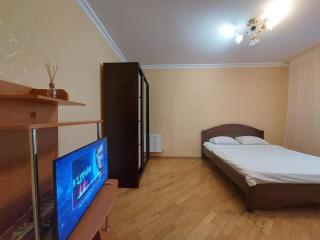 Однокімнатна біля автостанції, вулиця Зацепи - 9