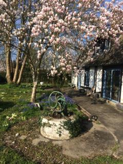 Charmante villa normande à 1h de la mer, 1h30 de Paris - Le Tronquay - 8