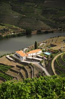 Hotel Rural Quinta Do Pego - Tabuaço - 9