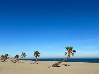 Azur - Le Barcarès - 2