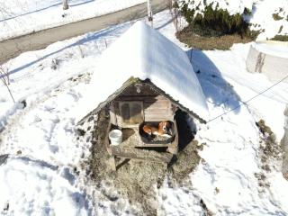 Schöne Ferienwohnung im Naturpark Grebenzen - Sankt Lambrecht - 7