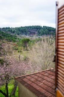 Traditional cozy residence in Lafkos, Pelion - 2