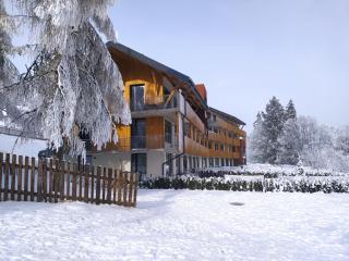 Apartmán Tommy - Zadov - Stachy - 9