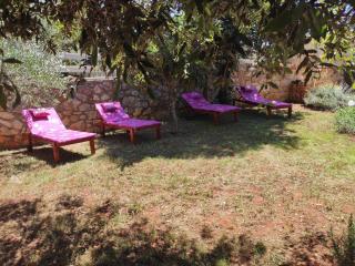 Holiday home Sea La Vie - Rovinj - 3