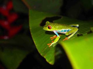 Casita Lidia Bijagua - 1