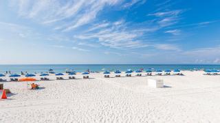Phoenix III by Brett Robinson Vacations - Orange Beach - 5