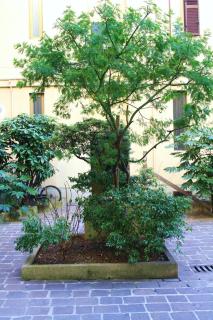 Il Cortiletto - Milan - 2