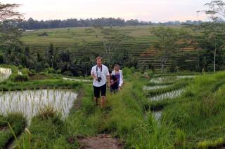 Cozy Wayan Sueta's Garden Villa 1 - 1