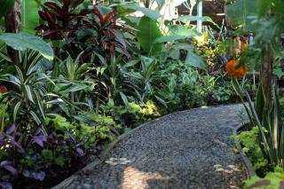 Cozy Wayan Sueta's Garden Villa 2 - 6