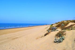 Gorgeous Apartment located in Elviria Marbella - 4