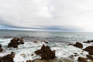 Bayview 305A - Hermanus - 8