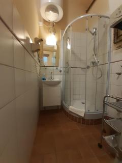 Swan - Budapest - 2