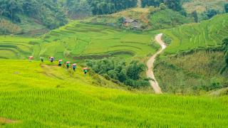 Sapa Fantasea Homestay - Sa Pa - 9