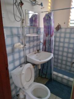 AU JARDIN FLEURI - 7