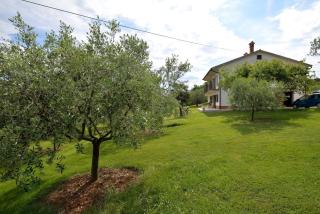 Apartment Oliva - Vižinada - 7