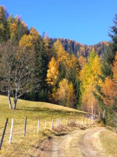 Droneberger-Hütte - 1