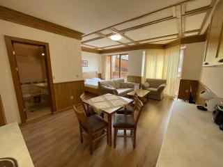 Pirin Golf SPA Studio Compass Property - 8