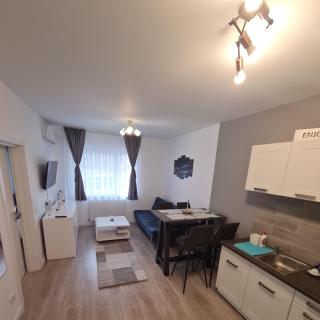 Phoenix Luxury Apartment - Oradea - 1