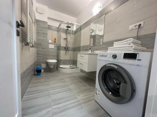 Renting Solutions Q - Iaşi - 4