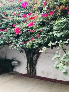 Syds Beach House - Praia - 9