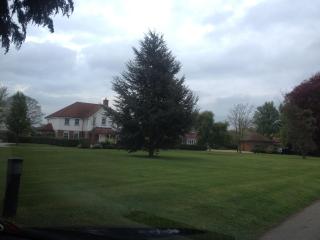 Garden Studio - Benson - 4