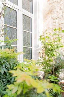 Maison des Pilastres au cœur d'Auxerre - 3