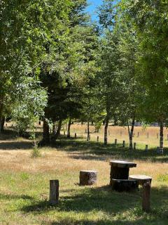 CABAÑAS CARMEN SUR - 7