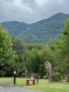 CABAÑAS CARMEN SUR - 9