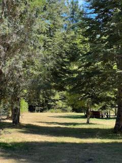 CABAÑAS CARMEN SUR - 4