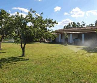 Casa Chiara con accesso diretto alla spiaggia - Àrbatax - 0