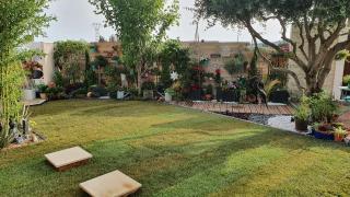 Le petit coin de Provence - Beaucaire - 3