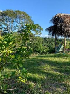 CHOCLINO ECOLODGE -Bungalows con Piscina privada, Mirador y Tours en la selva - 1