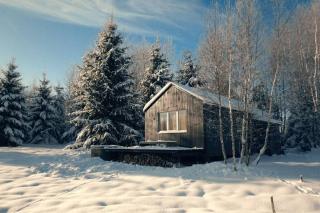 Hand made Off Grid forest Cabin Luna - - 9