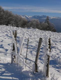 Grand appartement hyper centre haut standing - 7