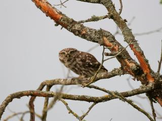 Gîte Tout Confort à Parassy : Proche Bourges et Sancerre, Idéal Randonnées et Découvertes - FR-1-586-31 - 1