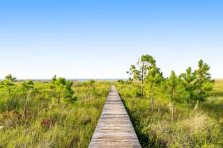 Pelican Kiss Beach Cottage - 6