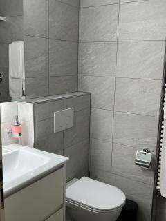 Bellevue Hotel & Apartments - Lenk - 1